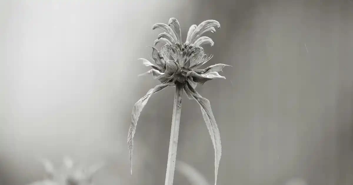 Metal Makyaj Uygulama Araçları Seti: Dayanıklı ve Çok Yönlü Profesyonel Makyaj Çözümleri