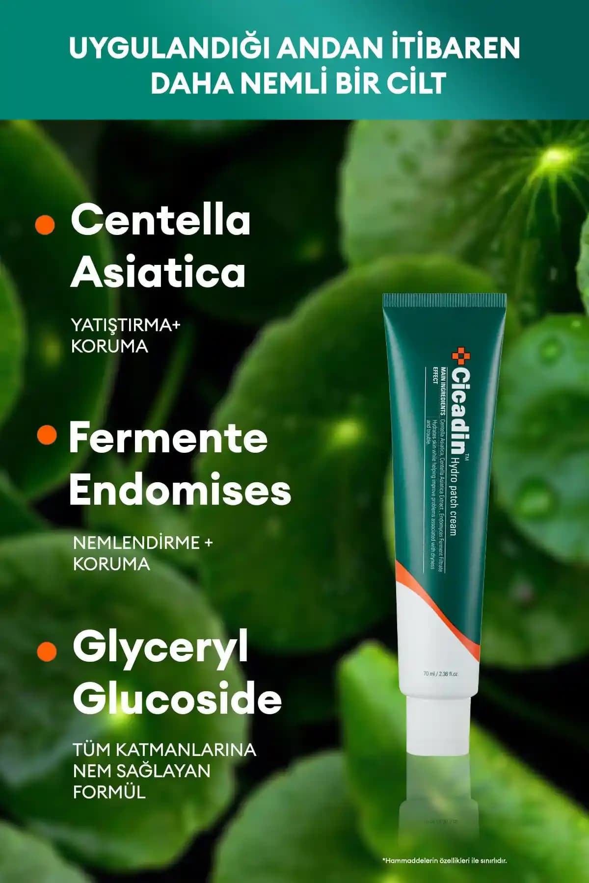 Missha'nın Hassas Ciltler İçin Doğal Bakım Ürünleri ve Kullanım İpuçları