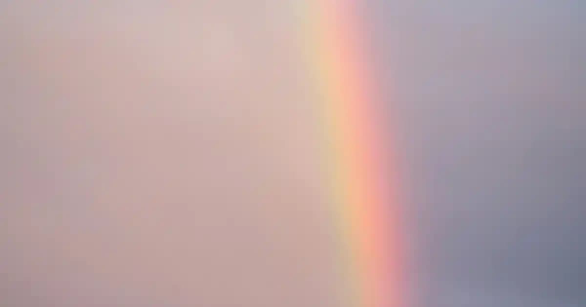 Nagaraku Hafif İpek Kirpikler: Doğal ve Rahat Kullanım İçin En İyi Seçenek