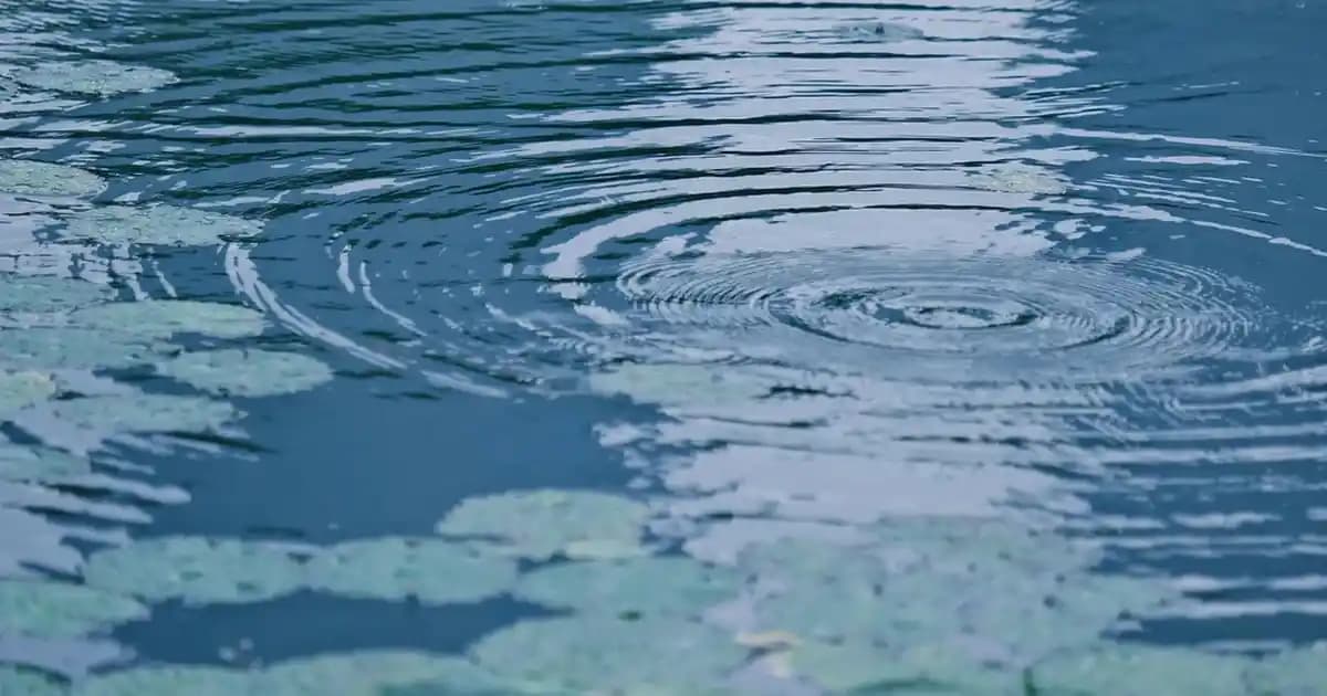 Nem Veren Doğal Şampuanlar Saç Sağlığını Koruyan En İyi Seçenekler