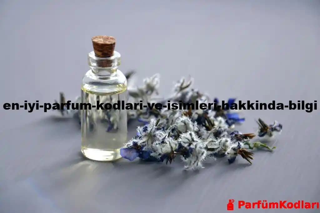 Parfüm Bilgisi ve Doğru Kullanım Yöntemleri Hakkında Kapsamlı Rehber