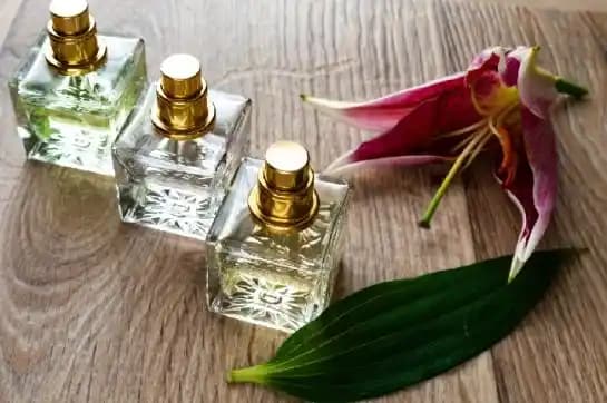 Parfüm Koku Tanımlaması ve Notaların Detaylı Analizi