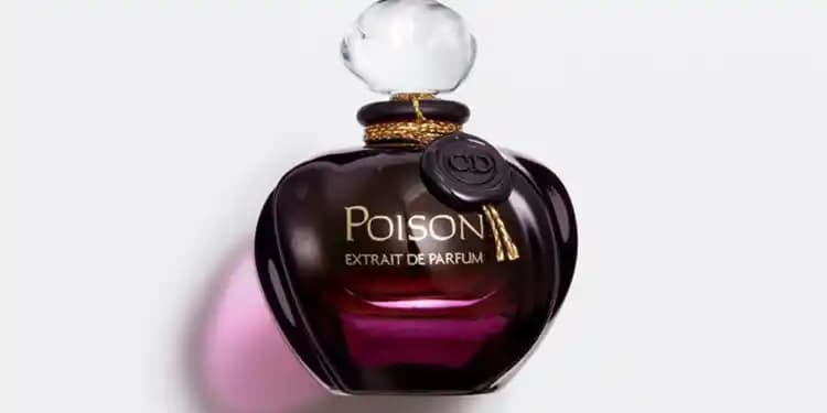 Parfüm Kullanıcı Yorumlarındaki Bilgi Eksikliği ve Güvenilir Kaynakların Önemi