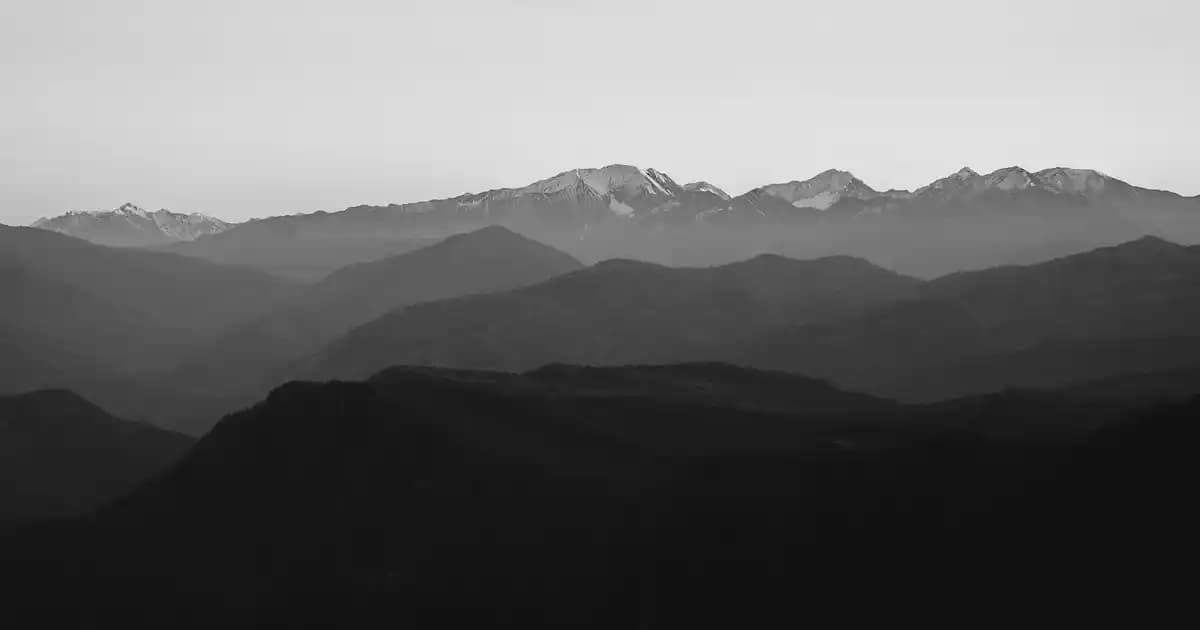 Saç Boyası Güvenliği ve Son Kullanma Tarihleri Hakkında Bilmeniz Gerekenler
