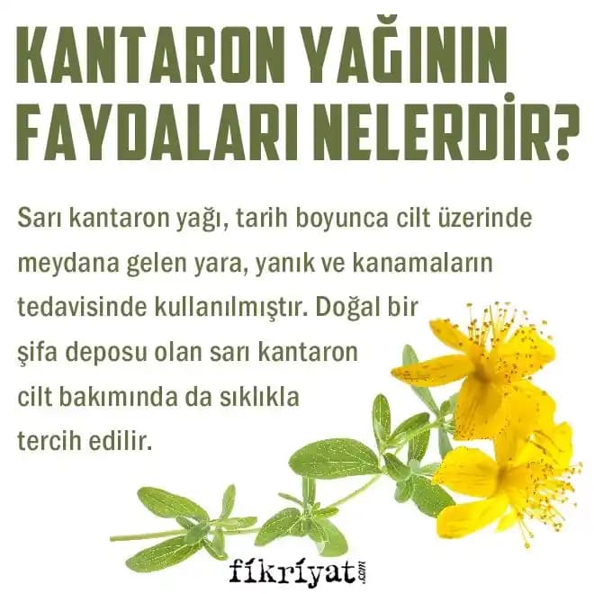 Sarı Kantaron Yağı: Doğal Güzellik ve Şifa Kaynağı Özellikleri ve Kullanım Alanları