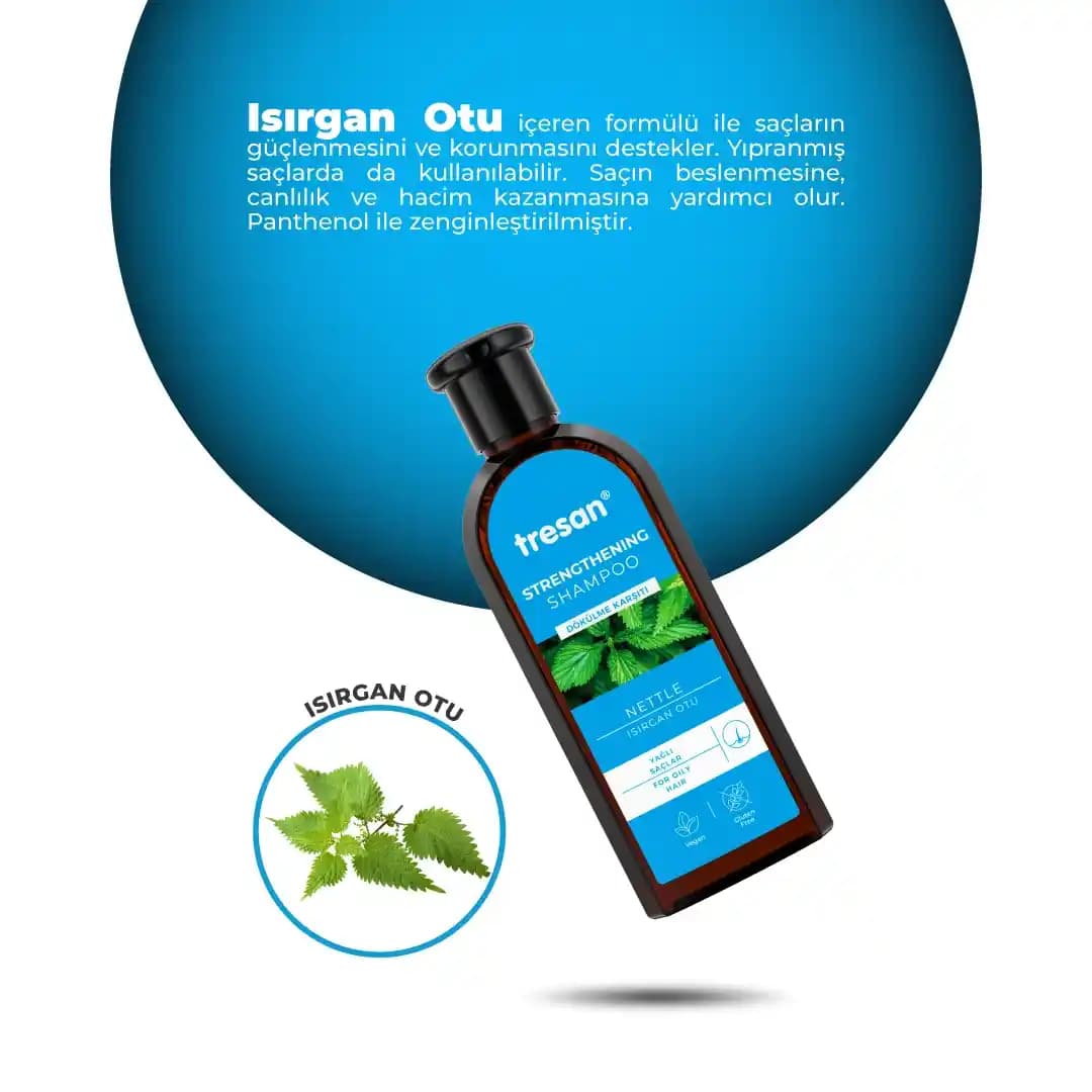 Yağlı ve Dökülen Saçlar İçin Etkili Bakım Rehberi ve Uygun Ürün Seçenekleri