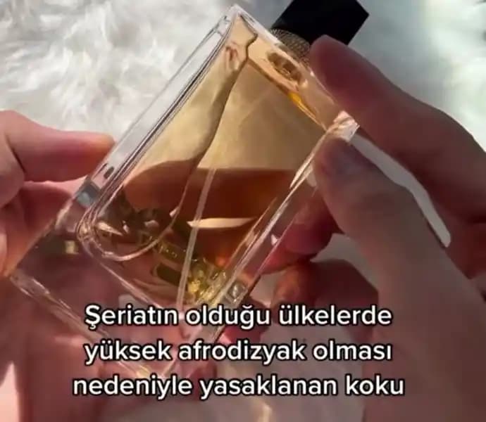 Koku Adaptasyonu ve Parfüm Algısının Değişimi: Neden Kendi Kokunuzu Alamazsınız?