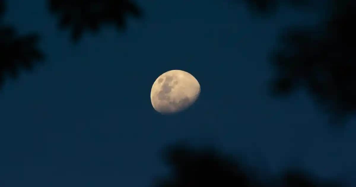 2024 Yılında En Güvenilir ve Etkili Cilt Yenileyici Kremler Rehberi