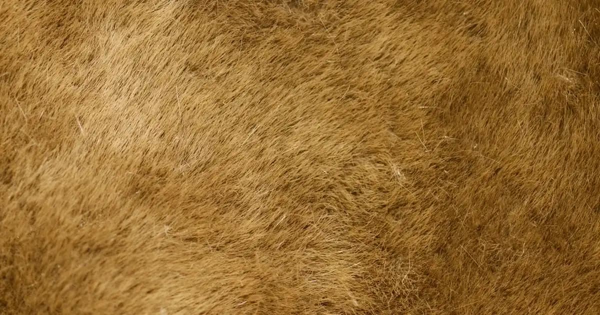 4 Yapraklı Yonca Kolye ve Mıknatıslı Tasarımların Moda ve Anlamdaki Yeri
