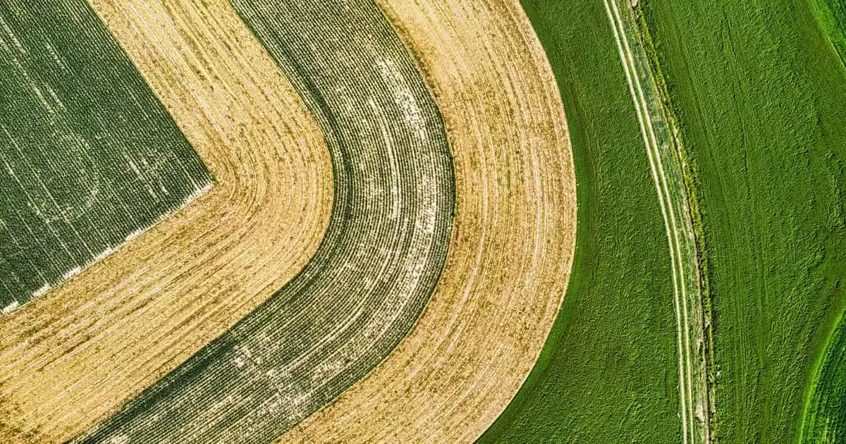 AHA ve BHA Nedir? Cilt Tipine Uygun Kullanım ve Farklılıklar Hakkında Detaylı Bilgi