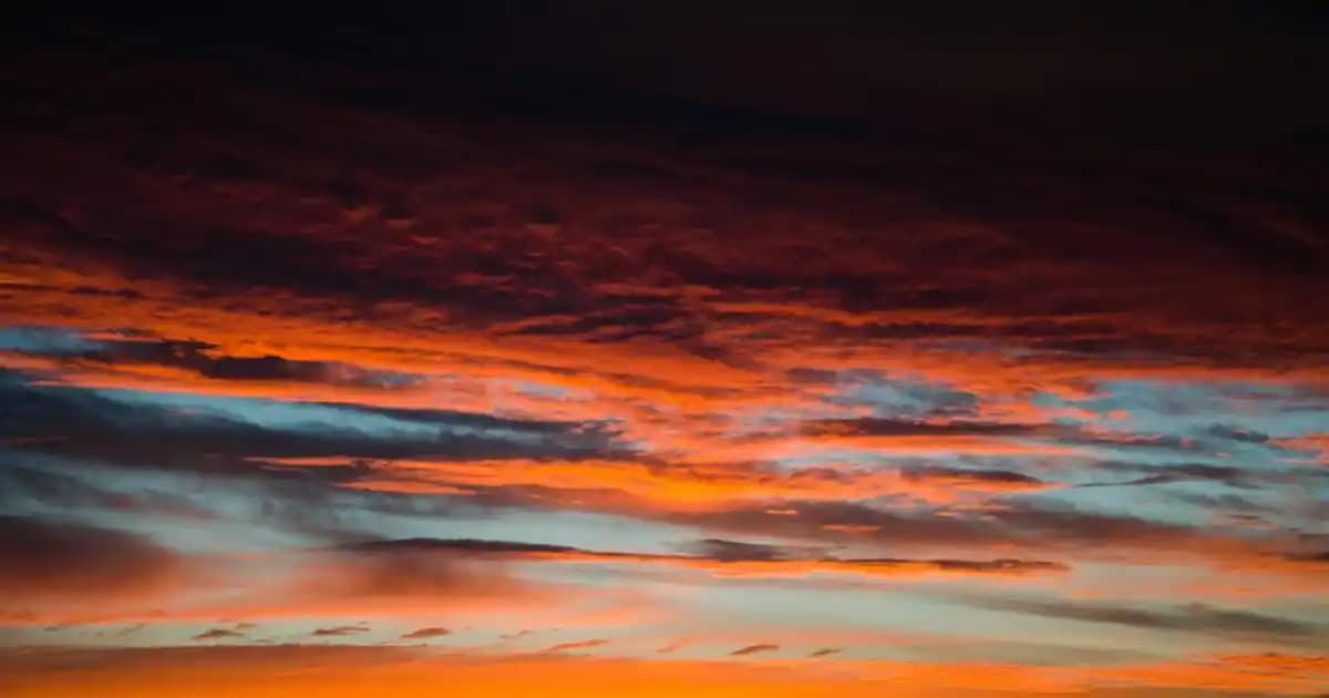 2025'te Altın Kumral Saç Rengiyle Sıcacık Doğallığı Keşfedin