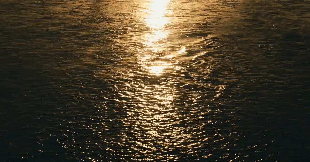 2025'te Aptamil Mama ile Bebek Beslenmesinde Güvenilir Devrim