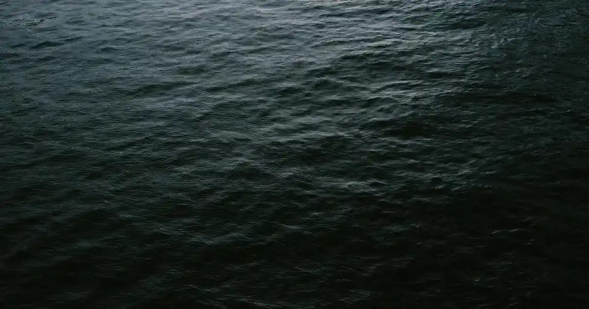 Arayüz Diş Fırçası Nedir, Nasıl Kullanılır ve Diş Sağlığını Nasıl Destekler