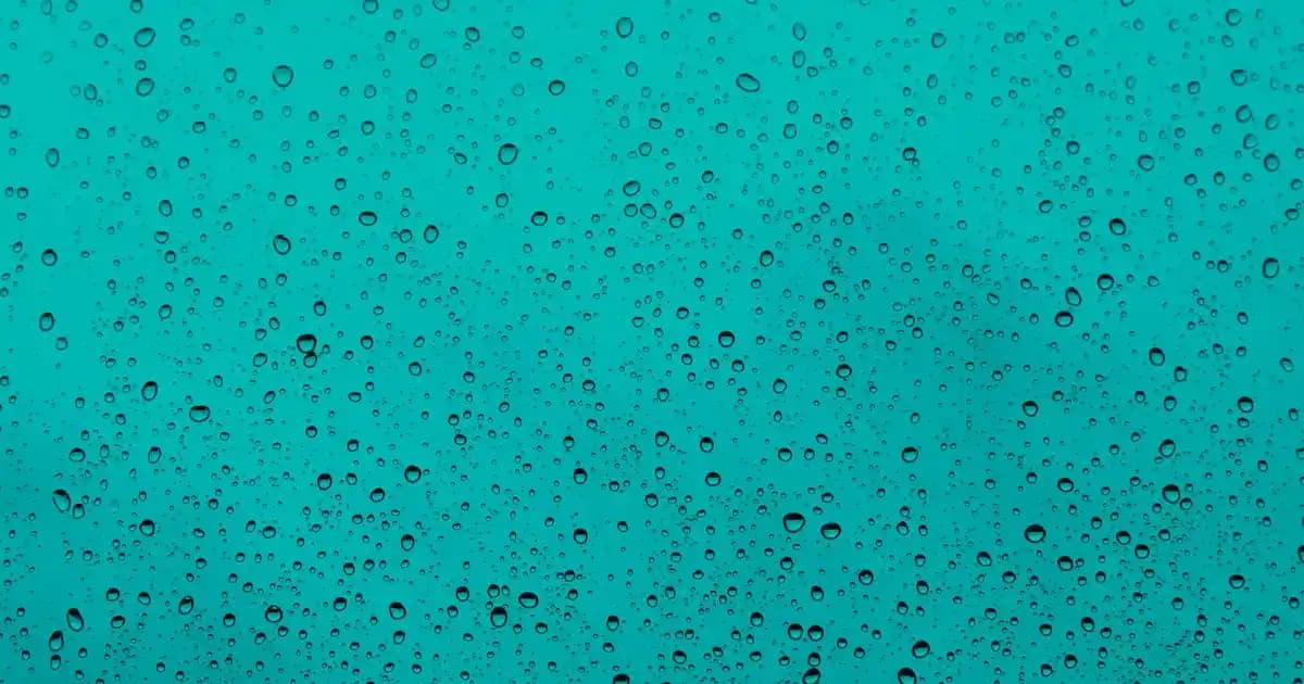 2025'te Argan Yağıyla Doğal Güzellik: Bilmeniz Gereken 5 Sır