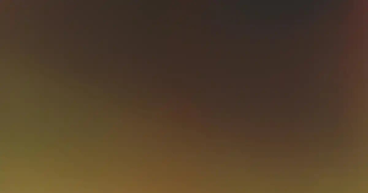 Argan Yağı ile Saç Bakımında Doğal ve Etkili Çözüm Seçenekleri