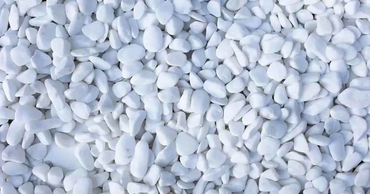 Argan Yağı Nedir? Cilt, Saç ve Tırnak Bakımında Doğal Mucize