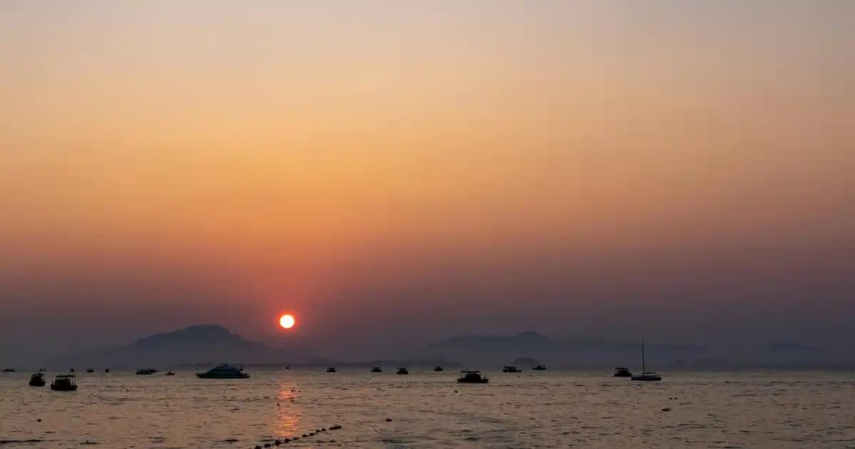 Argan Yağı Sabunu: Doğal ve Çok Yönlü Cilt ve Saç Bakım Ürünü Özellikleri