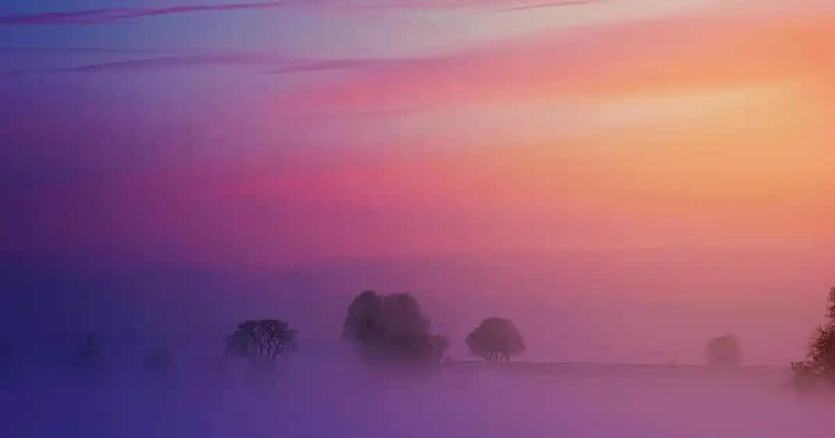 Argan Yağı ve Keratin: Saç Bakımında En Etkili Kombinasyon Mu