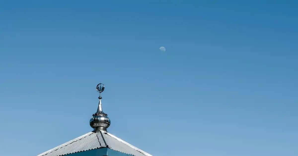 Artroflex Hya-C-II ile Eklem Sağlığını Güçlendiren Güvenilir Takviye Ürünü