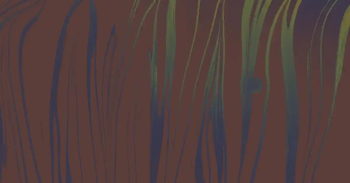 Ateş Jeli Nedir? Güvenli ve Pratik Kullanım İpuçlarıyla Kamp ve Günlük Hayatta Faydaları