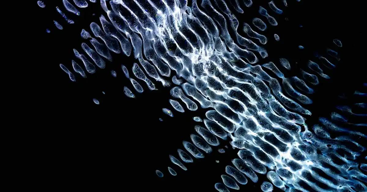 B Kompleks Vitaminleri ve Kozmetik Sağlık Üzerindeki Etkileri Hakkında Güncel Bilgiler