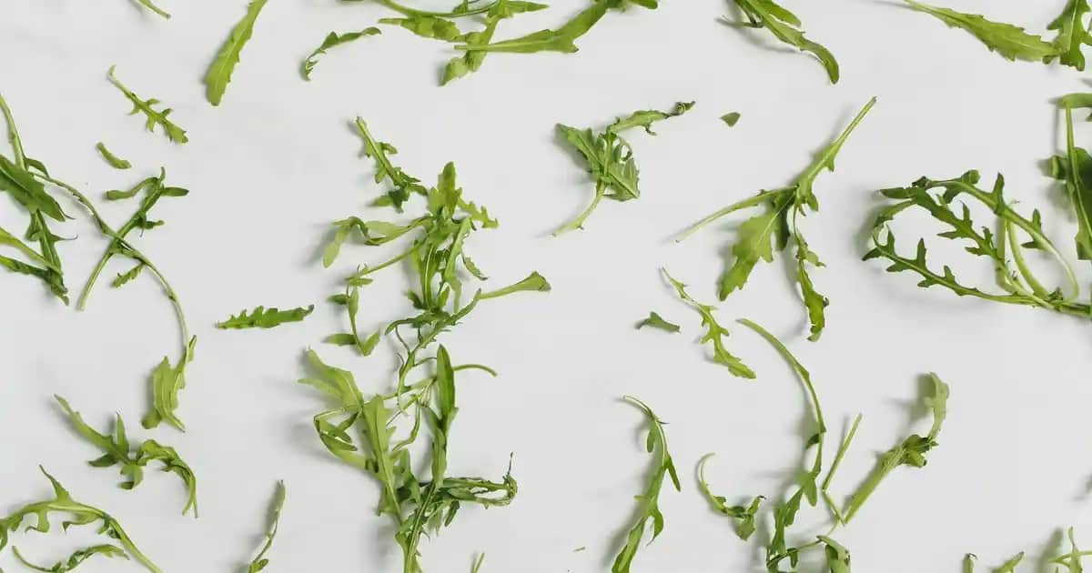 B12 Fısfıs Kullanımı ve Sağlık ile Kozmetik Alanındaki Faydaları