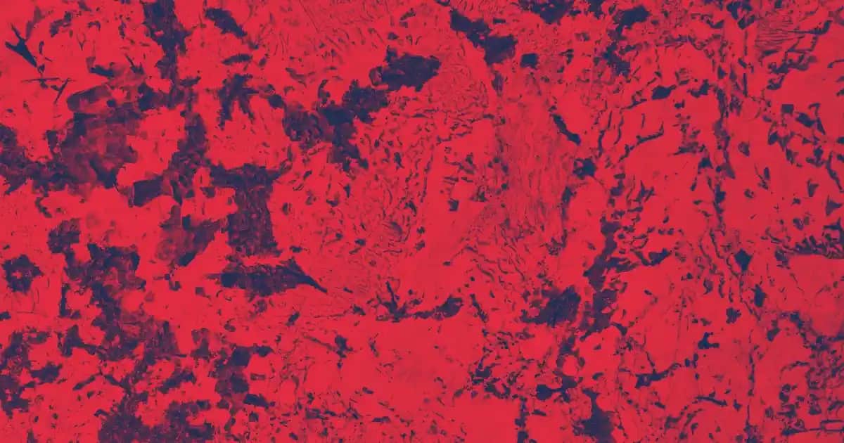 Bain Nutri-Fortifiant Şampuanıyla Saç Sağlığını Güçlendirme ve Yenileme Yöntemleri