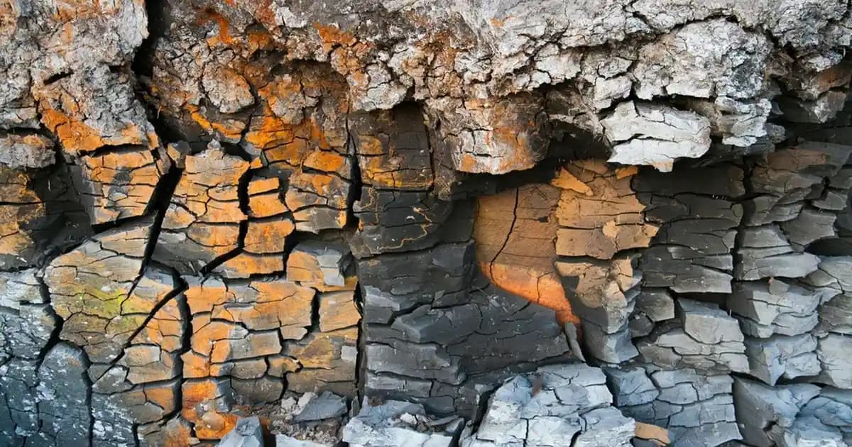 Bakır Sarı Saç Rengi: Trendler, Tonlar ve Bakım İpuçlarıyla Güzelliğinizi Yükseltin
