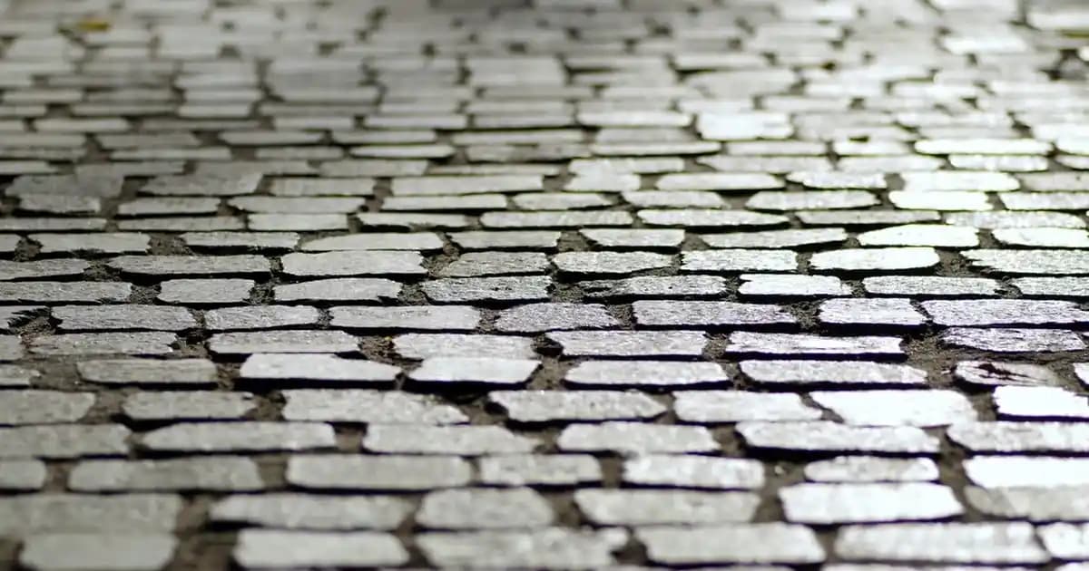 Bambu İpi Nedir, Kullanım Alanları ve Doğal Kozmetik ve El Sanatları Malzemesi