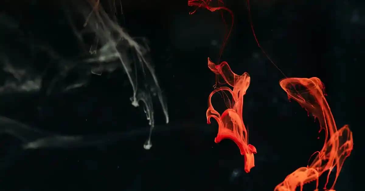 Banyo Köpüğü Nasıl Kullanılır ve En İyi Sonuçlar İçin Püf Noktaları