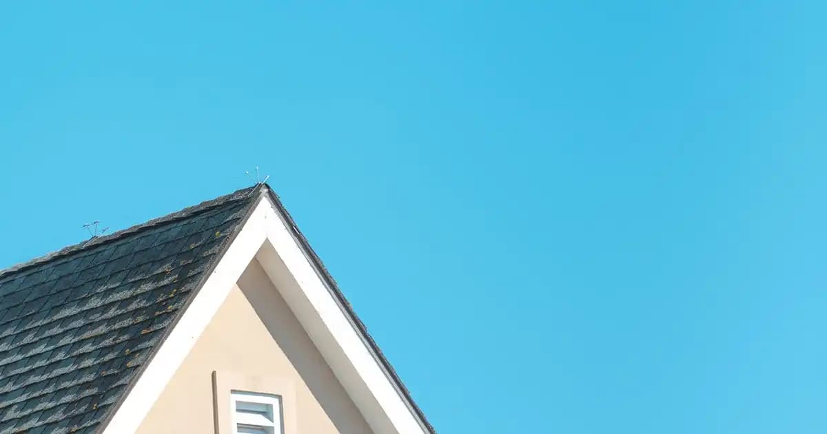Banyo Sonrası Saç Bakım Yağı Kullanımı: Saç Sağlığını Koruyan Doğru Adımlar