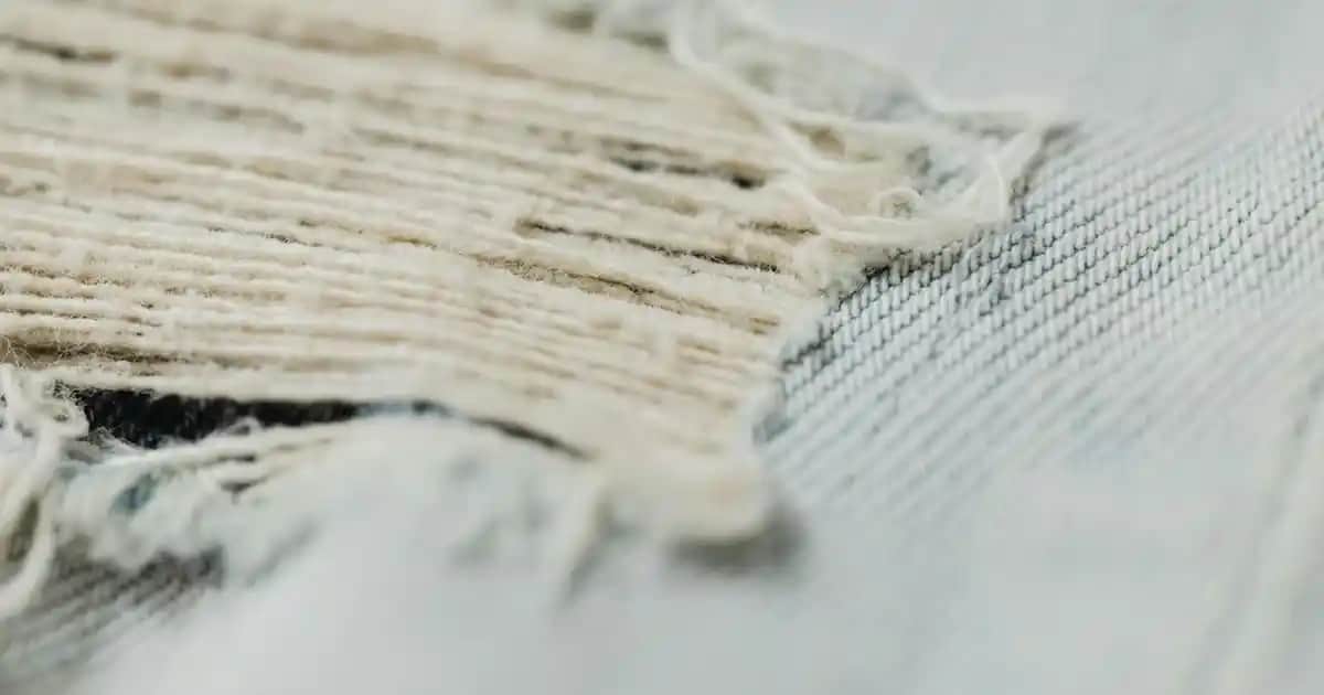 Bargello 695 Hangi Parfüme Benzer En İyi Alternatifler ve Özellikleri