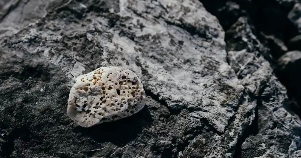 Bebek Kokulu Parfümler: Saflık ve Ferahlığın Günlük Kullanımda Önemi ve Seçim İpuçları