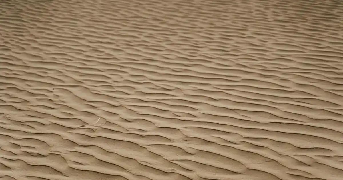 2025'te Bebek Pişiğiyle Mücadelede En Etkili Kremler ve İpuçları