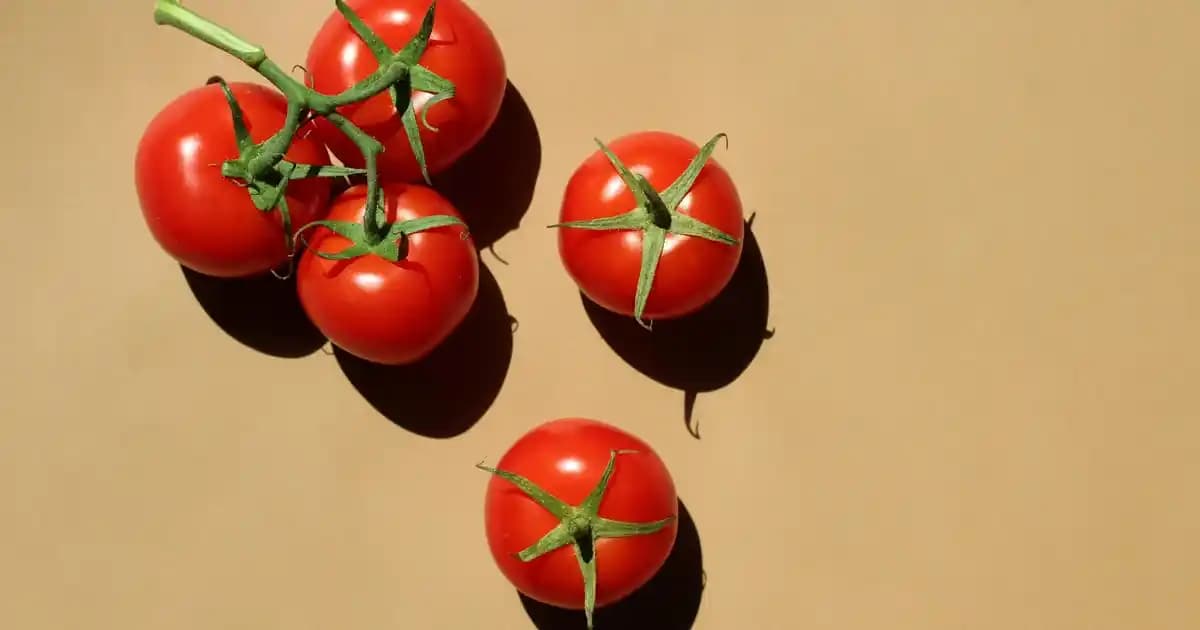 Bebekler İçin En Uygun Vitamin Takviyeleri ve Sağlıklı Gelişim Rehberi