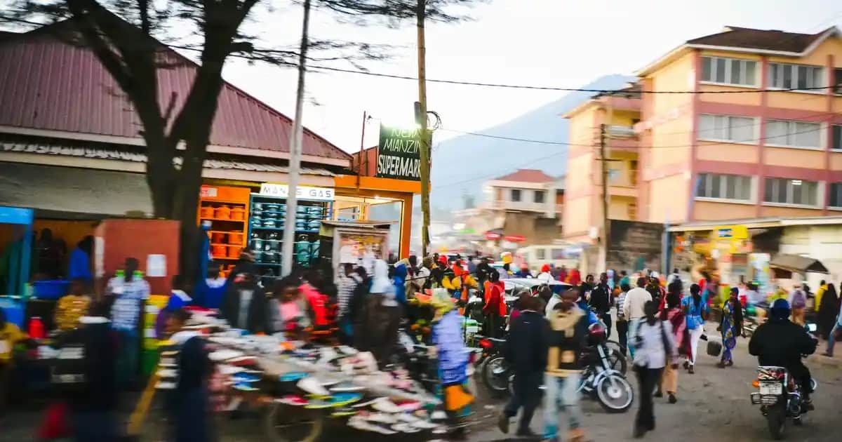 Bepanthol Krem Fiyatları ve Cilt Bakımında Güvenilirlik Analizi