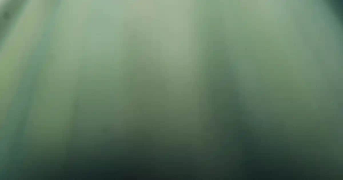 Bepanthol Sensiderm İçeriği ve Cilt Sağlığına Katkıları Detaylı İnceleme