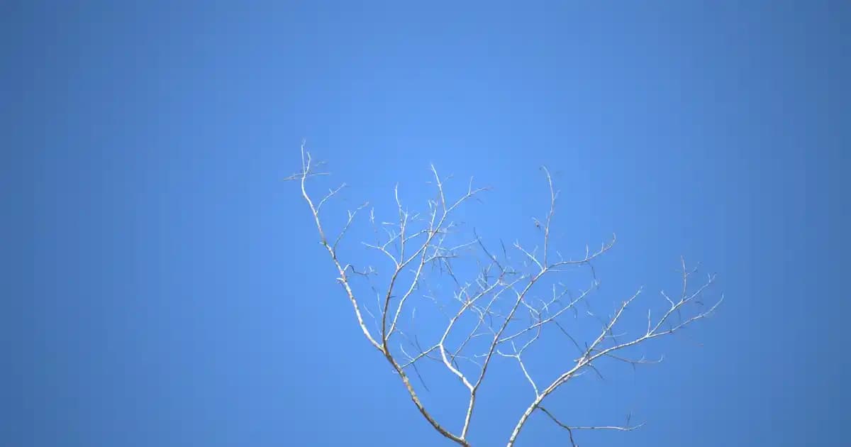 Bioderma ABCDerm Serisi: Çocuk ve Hassas Ciltler İçin Güvenilir Bakım Çözümleri