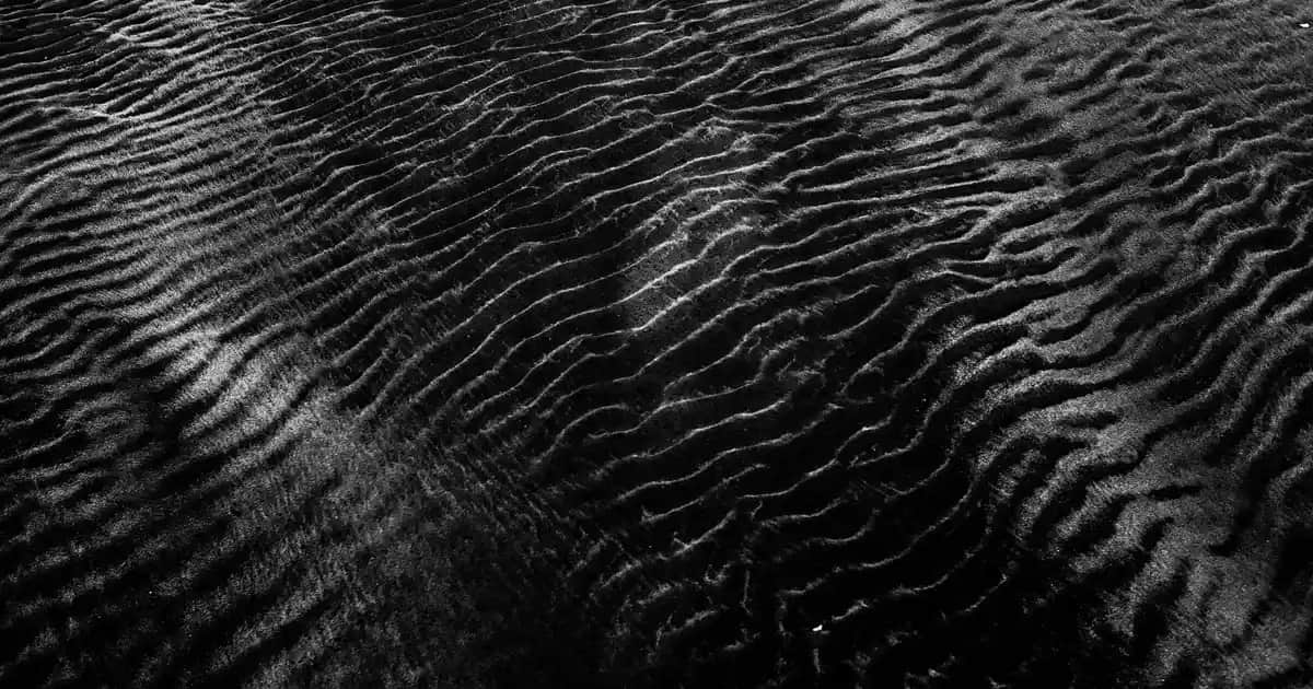 Bioderma Nodé DS: Kepek ve Seboreik Dermatit İçin Güvenilir Bir Şampuan Çözümü