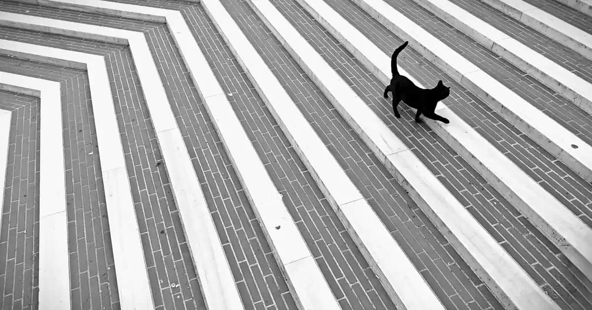 Bioderma Photoderm Spot-Age SPF 50+ ile Güneş Koruma ve Yaşlanma Karşıtı Etkili Çözüm