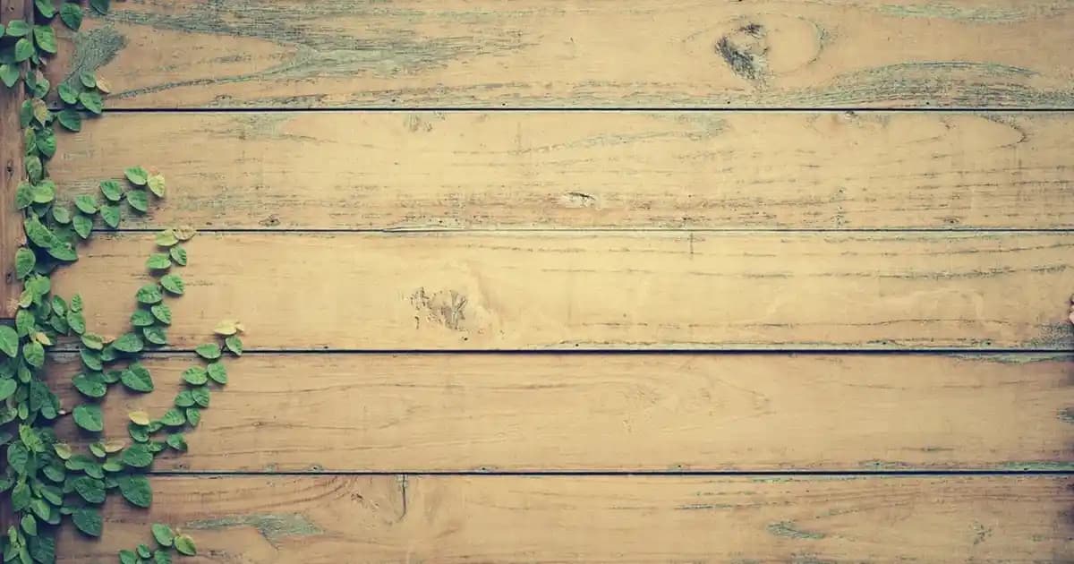 Bioderma Spot Age Güneş Kremi: Leke ve Yaşlanma Karşıtı Güçlü Güneş Koruyucu