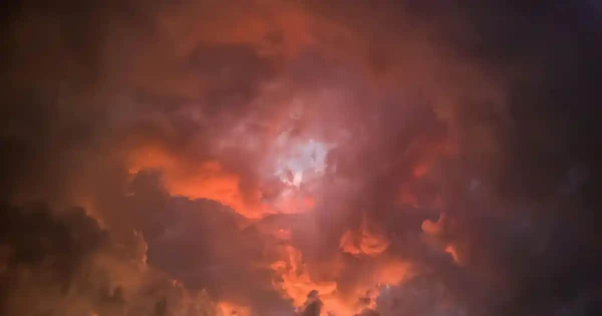 Biotin Hangi Yiyeceklerde Bulunur ve Sağlıklı Bir Cilt ile Saç İçin Doğal Kaynaklar