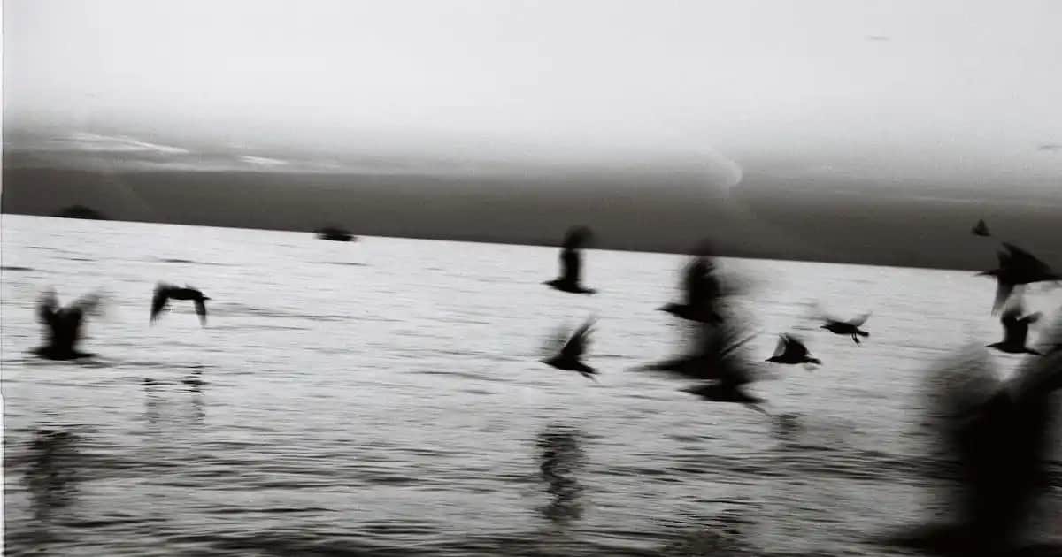 Bioxcin Aqua Thermal Egzama Şampuanı: Hassas Saç Derisi İçin Güvenilir ve Etkili Çözüm