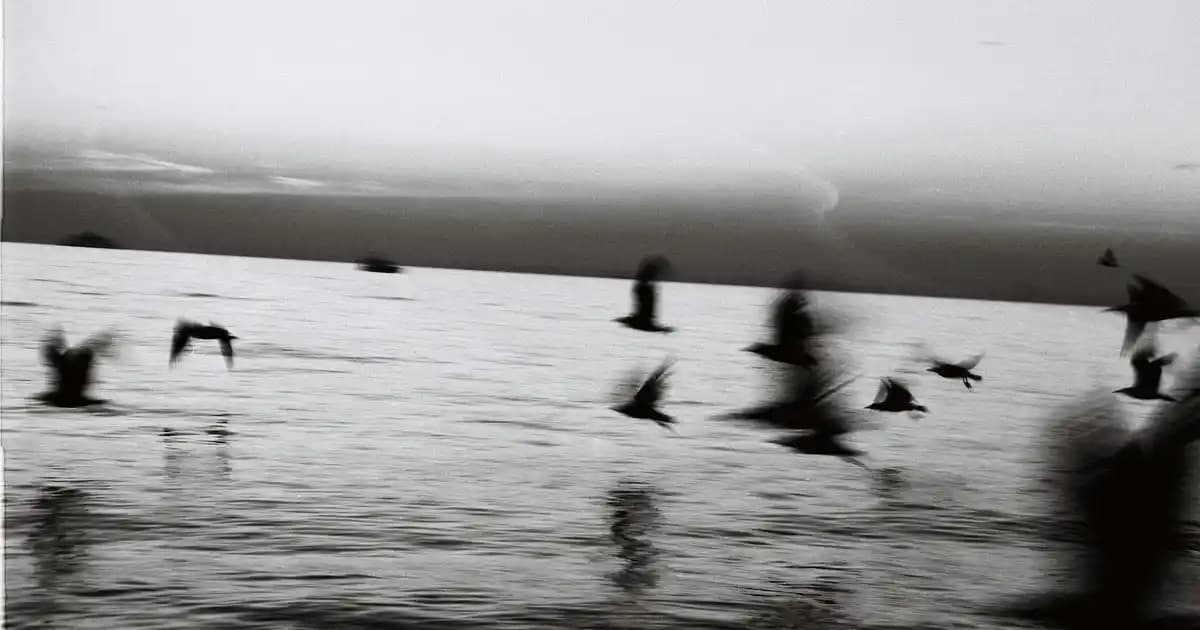 2025'te Bioxcin Aqua Thermal Egzama Şampuanı ile Saç Derinizde Devrim