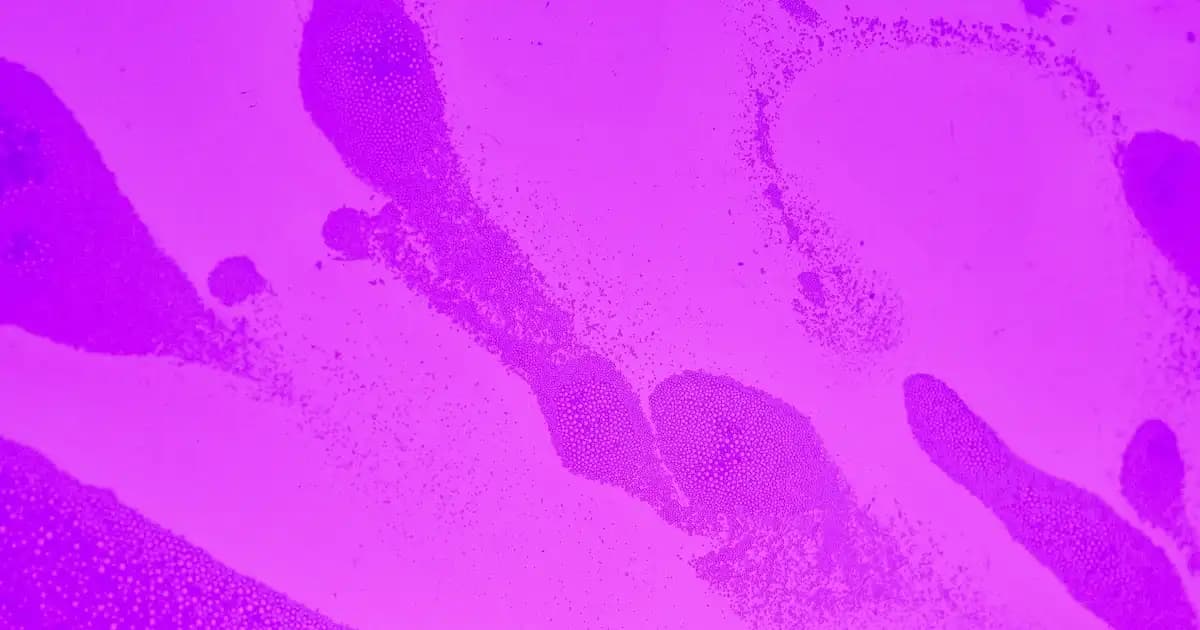 Bioxcin Erkek Şampuanlarıyla Saç Sağlığını Güçlendiren ve Koruyan Çözümler