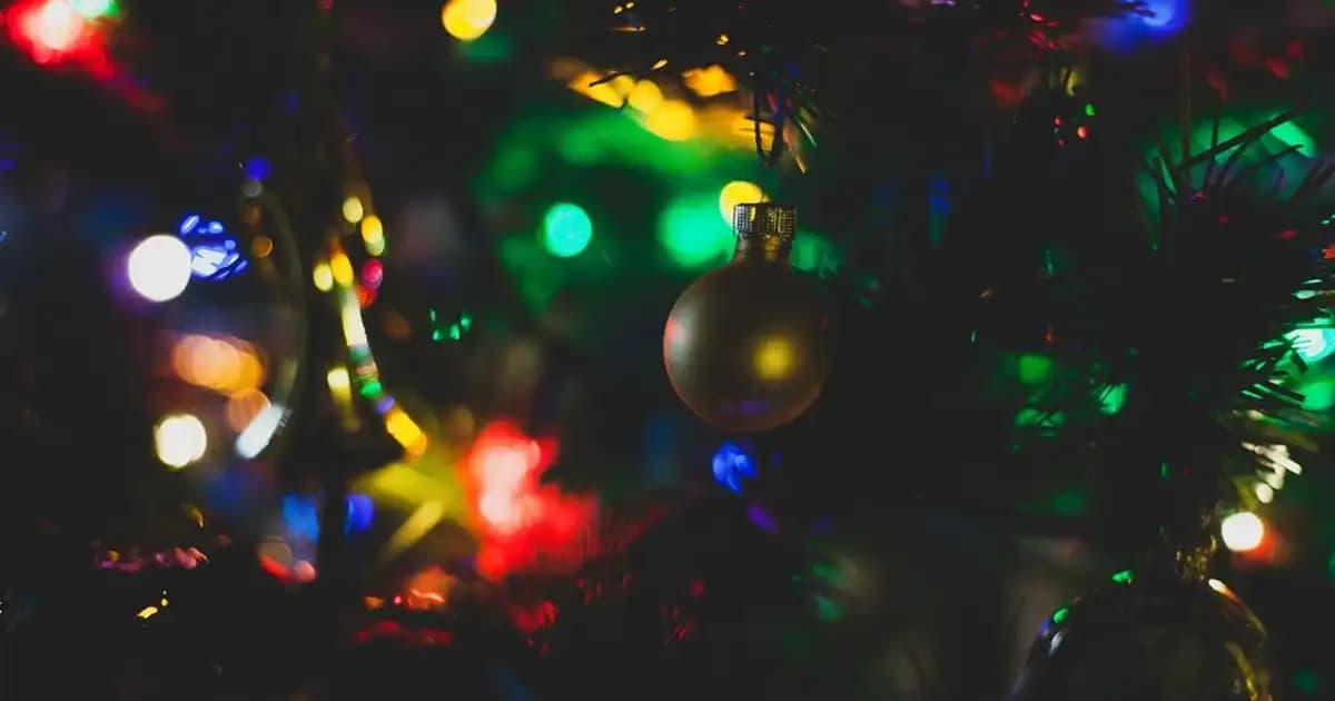 Bitkisel Magnezyum Takviyesi ve Kozmetikte Doğal Güzellik Sağlama Yöntemleri