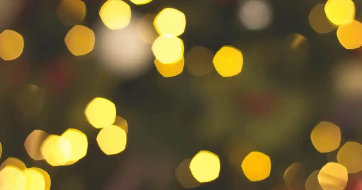 Bromelain Takviye Edici Gıda ve Kozmetik Uygulamaları: Doğal Cilt Güzelliği İçin Yeni Bir Trend