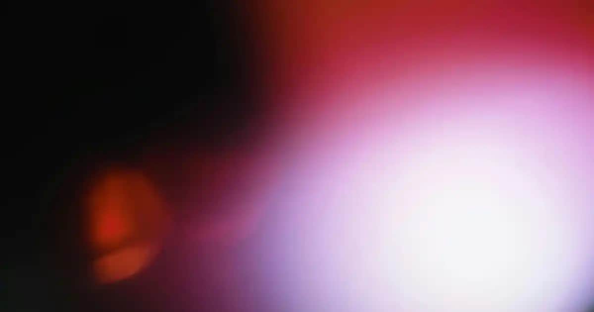 Bulaşık Deterjanı Çeşitleri ve Kozmetik Sektöründeki Yeri Analizi