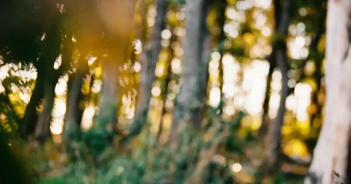 C vitamini ile cilt sağlığı ve güzellik için bilinmesi gerekenler