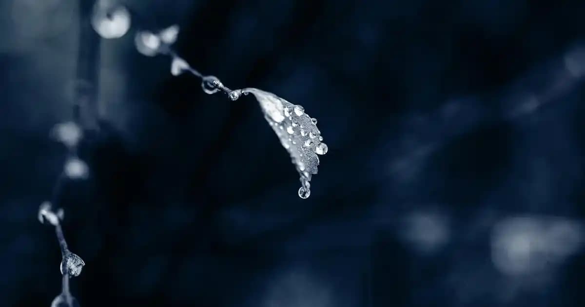 C vitamini serumu nedir ve cilt sağlığını nasıl destekler